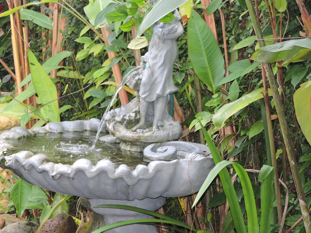 Pousada Don Alberto'S Florianópolis Екстериор снимка