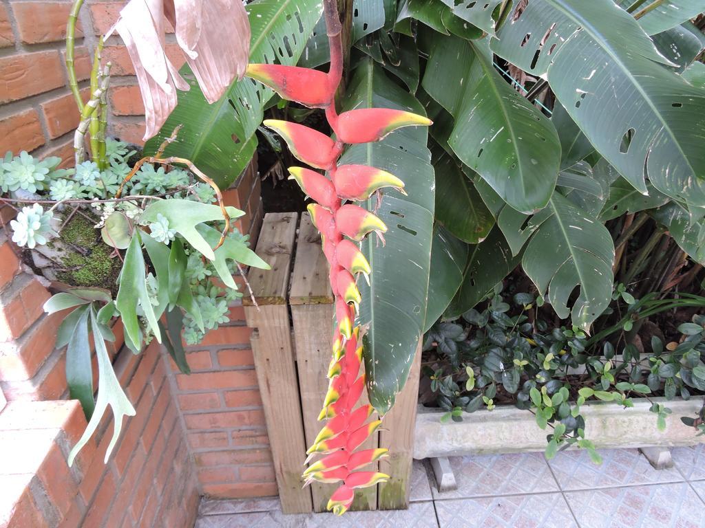 Pousada Don Alberto'S Florianópolis Екстериор снимка